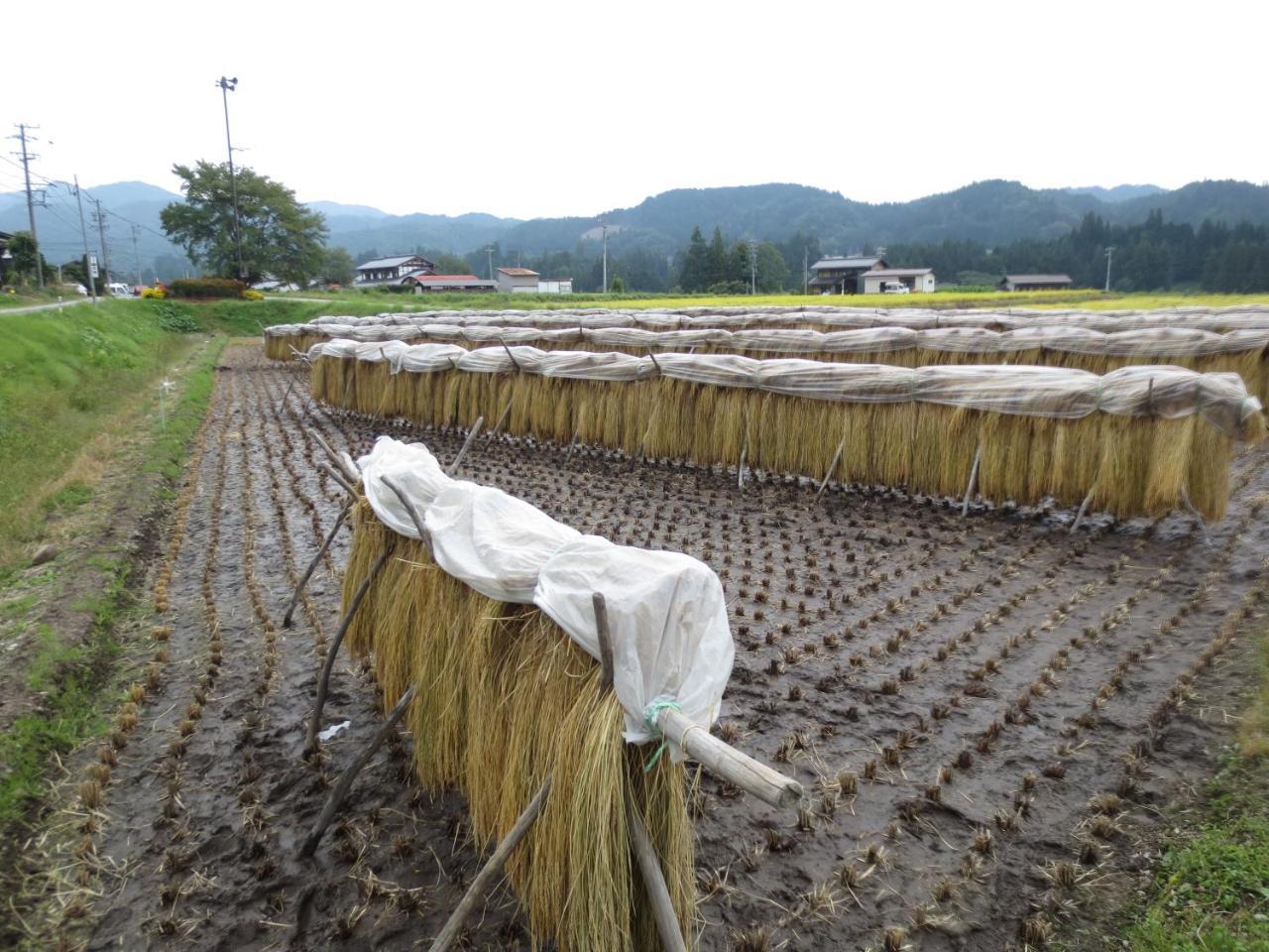 Shitanda Hotel Takayama  Luaran gambar